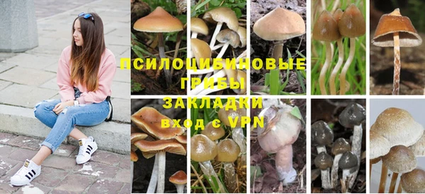 PSILOCYBIN Кинешма