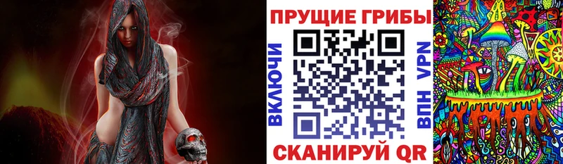 Псилоцибиновые грибы GOLDEN TEACHER  Ленинск-Кузнецкий 