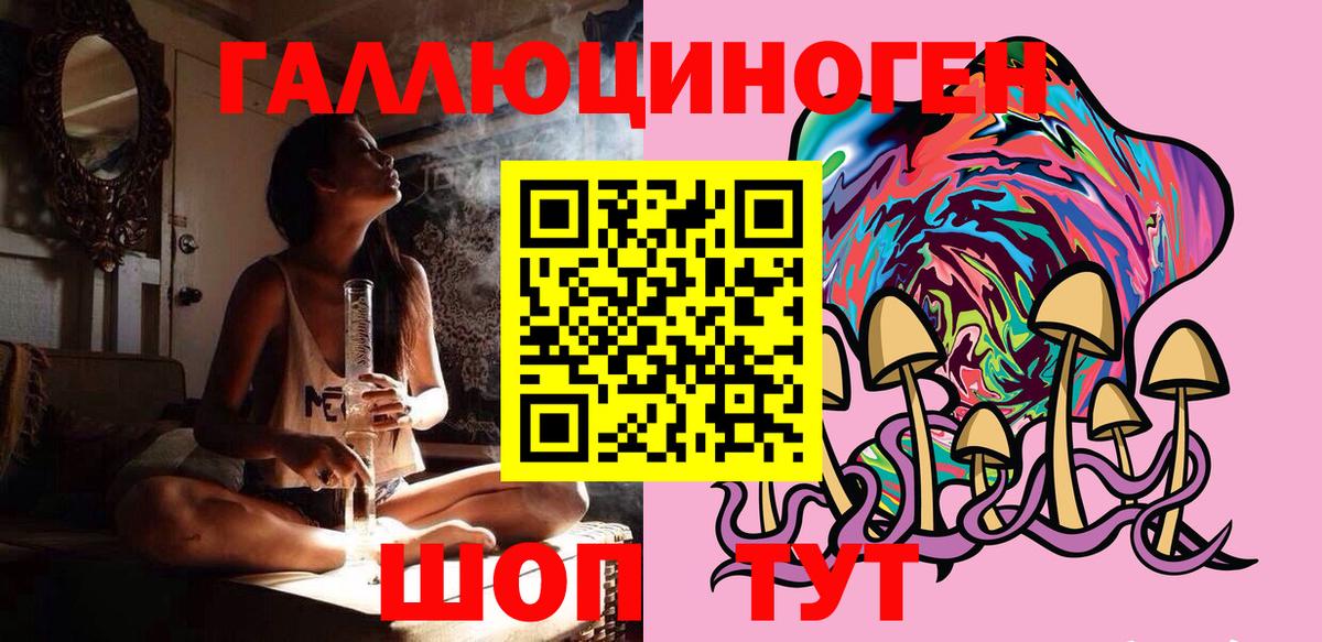 Ленинск-Кузнецкий  Галлюциногенные грибы Psilocybine cubensis  Вход с VPN 