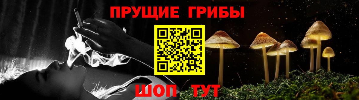 Галлюциногенные грибы мухоморы Ленинск-Кузнецкий