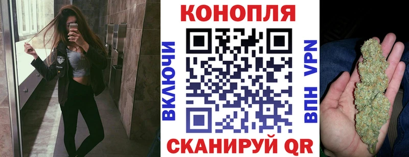 Марихуана семена  закладки  Ленинск-Кузнецкий 